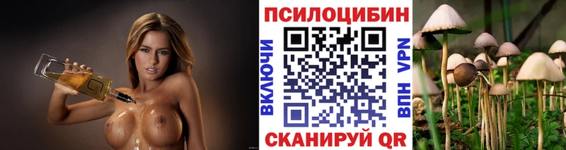 где можно купить   Ставрополь  Галлюциногенные грибы ЛСД 